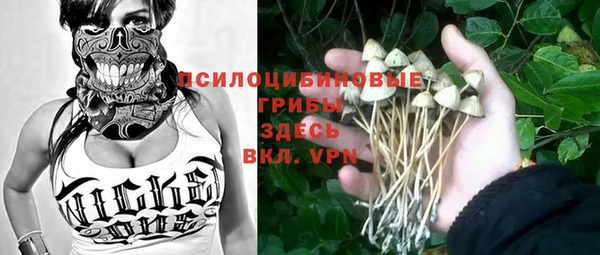 дживик Белоозёрский