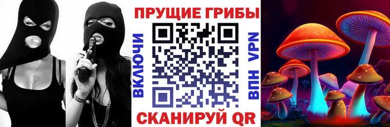Галлюциногенные грибы прущие грибы Среднеуральск