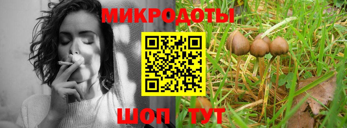 Псилоцибиновые грибы MAGIC MUSHROOMS Среднеуральск